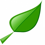 blatt-2